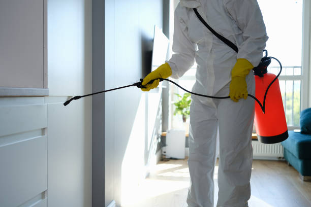 Mold Documentation for Insurance Claims in Richardson, TX